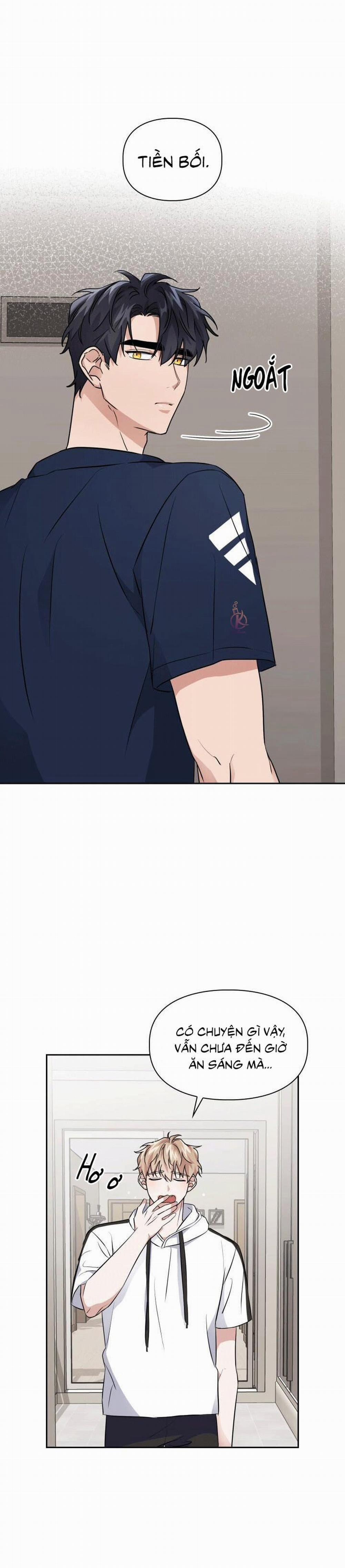 Mồi nhử 19.5 trang 8