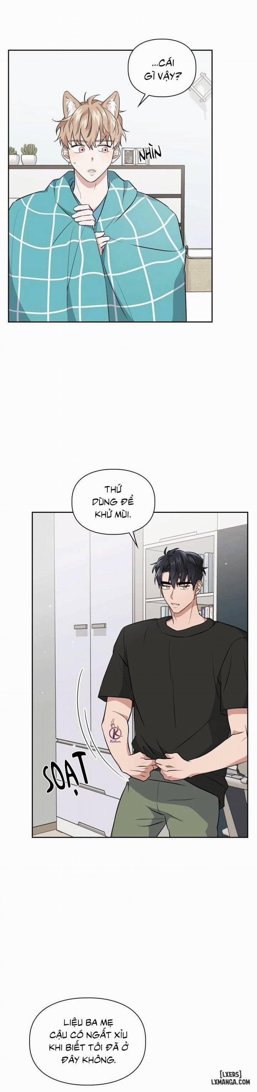 Mồi nhử 19 trang 1