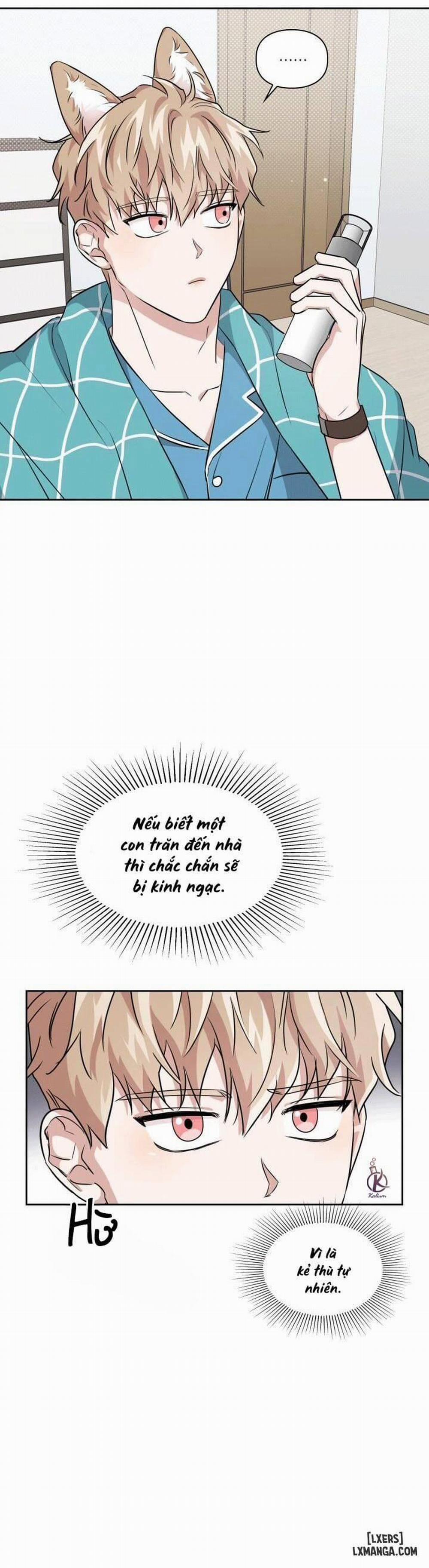 Mồi nhử 19 trang 2