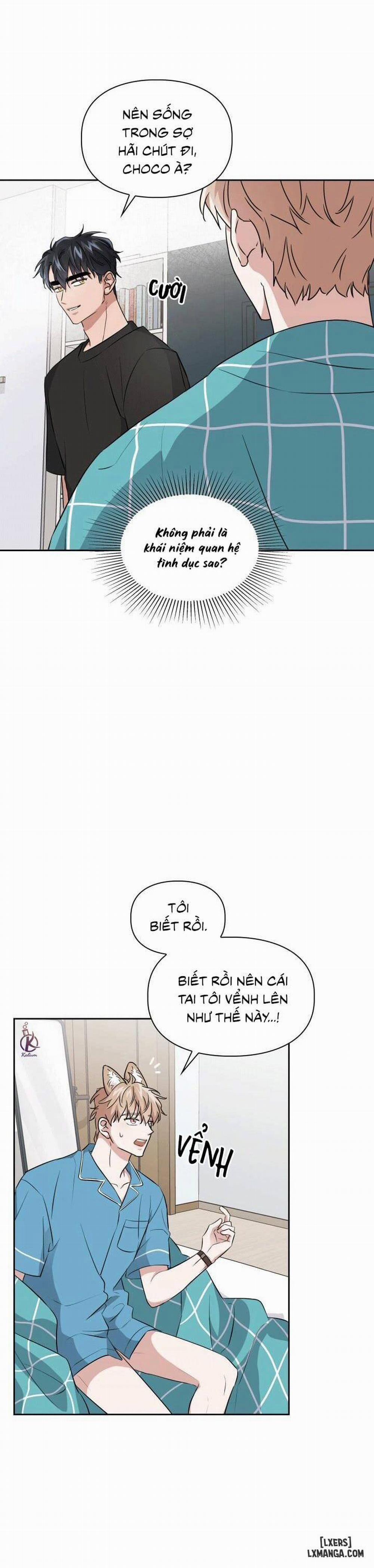 Mồi nhử 19 trang 5