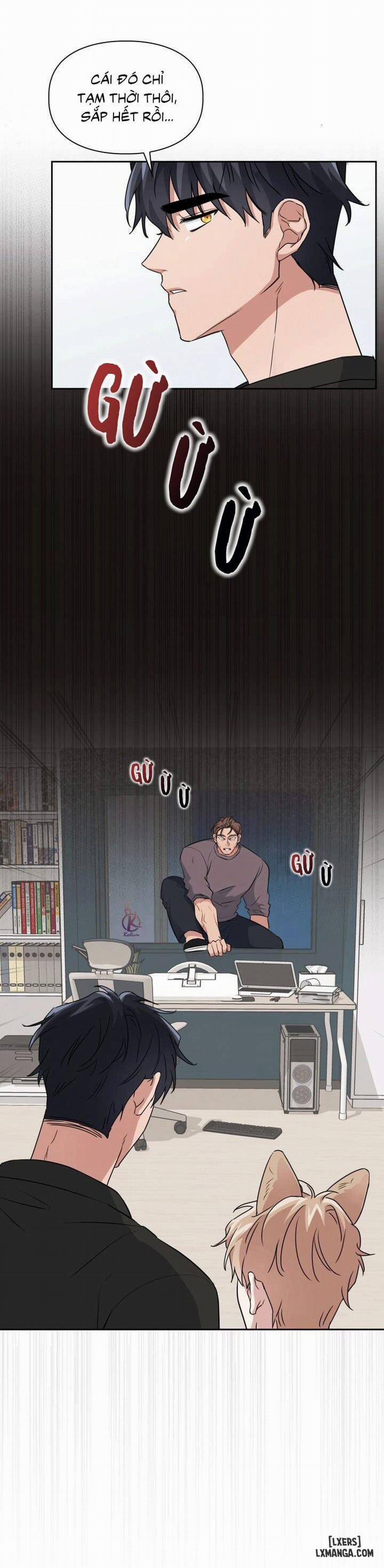 Mồi nhử 19 trang 6