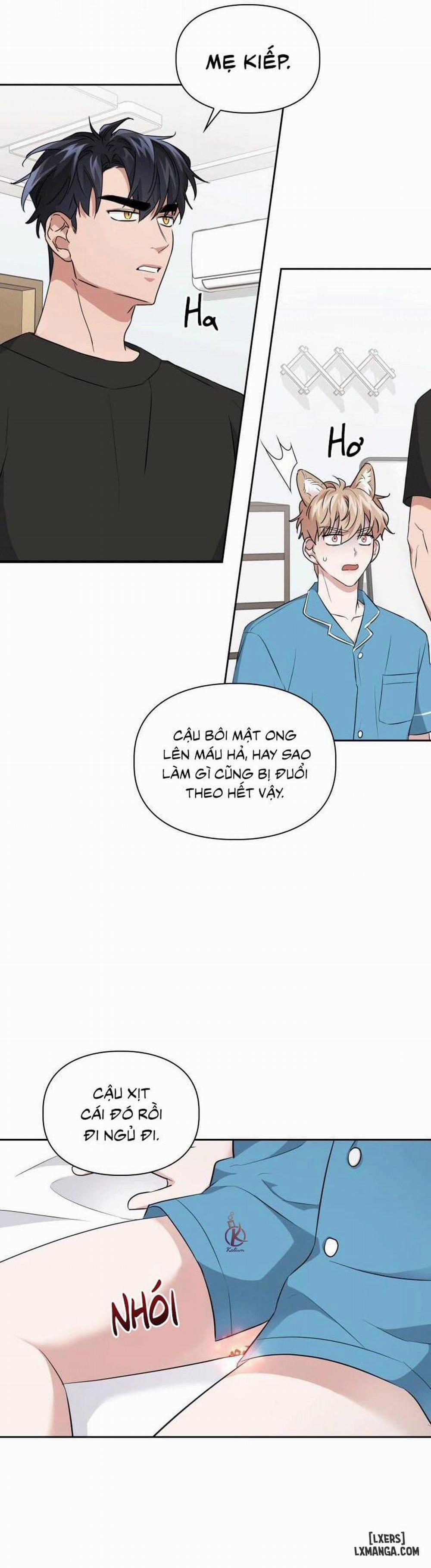 Mồi nhử 19 trang 7