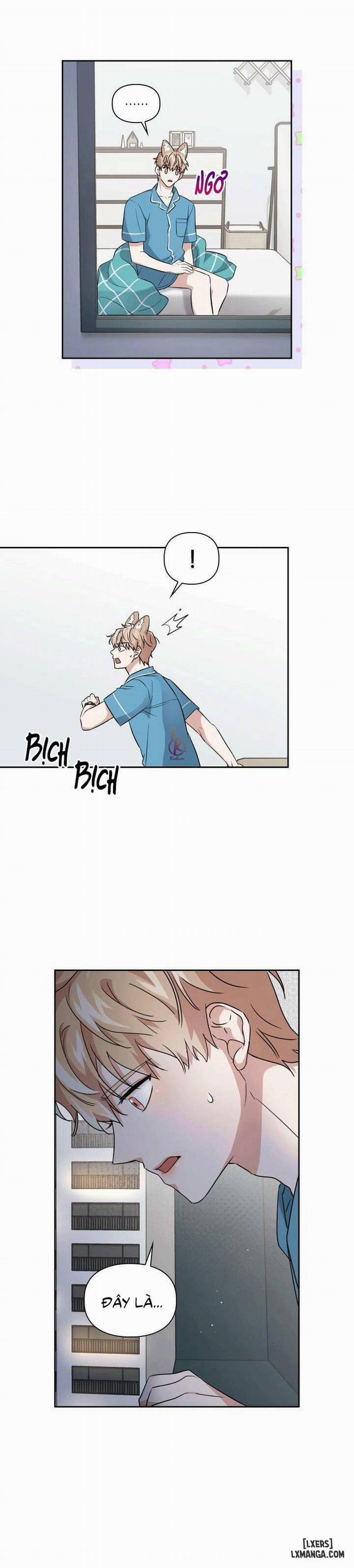 Mồi nhử 19 trang 9