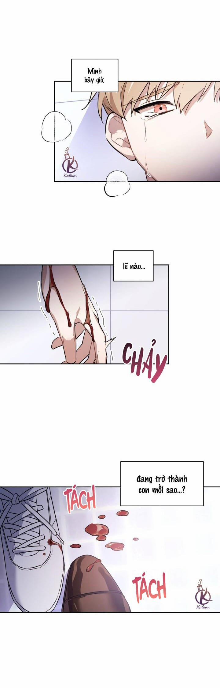 Mồi nhử 2.5 trang 13