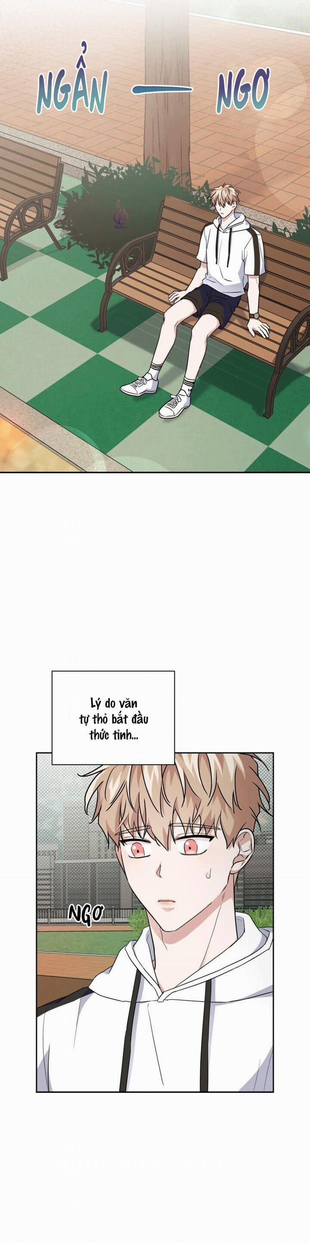 Mồi nhử 20.5 trang 9