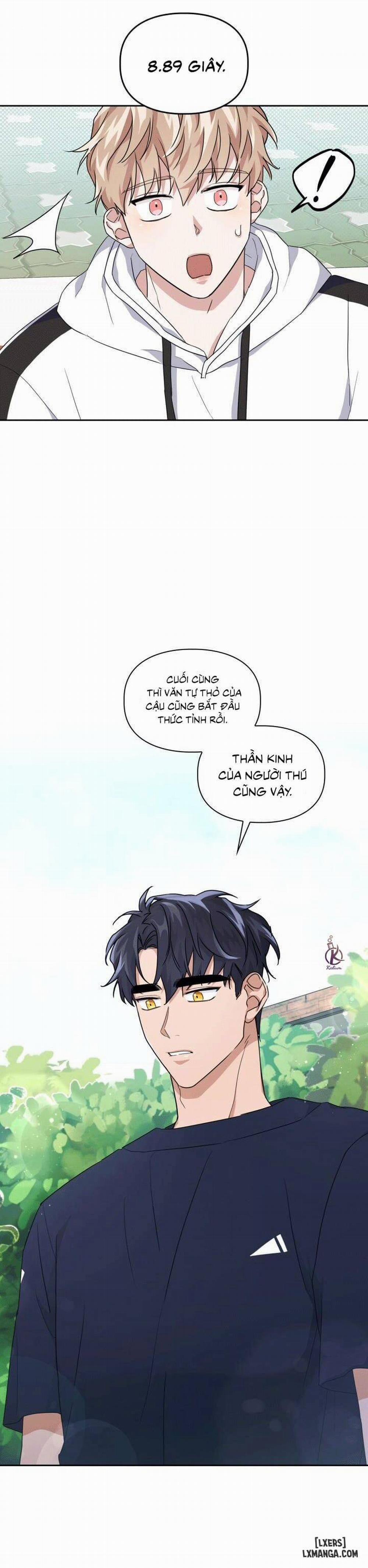 Mồi nhử 20 trang 10