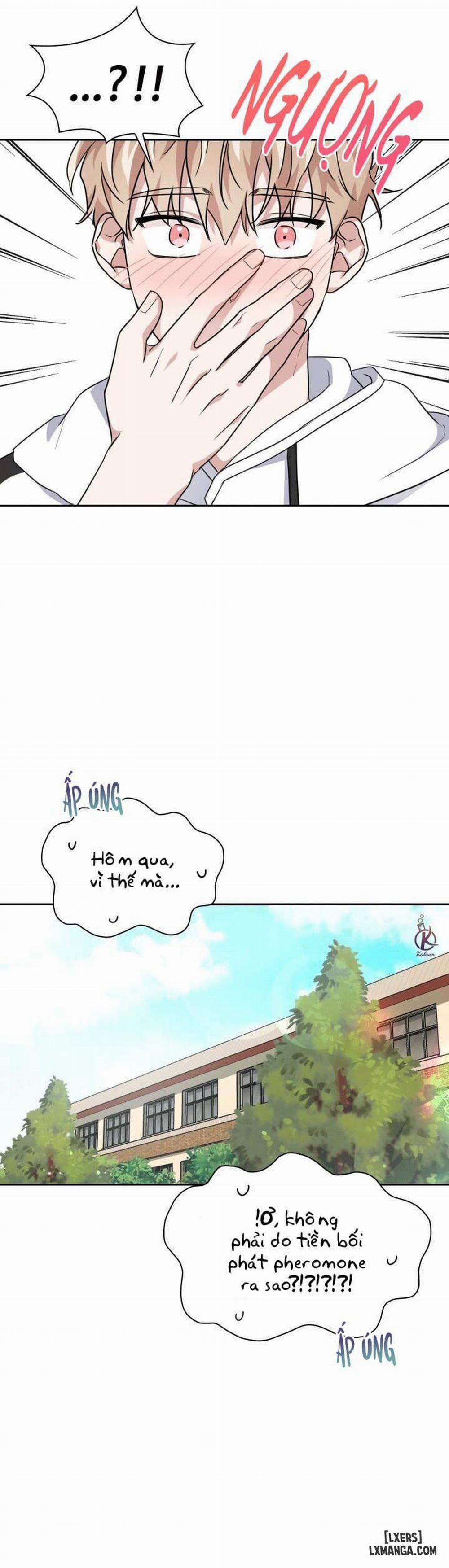 Mồi nhử 20 trang 17