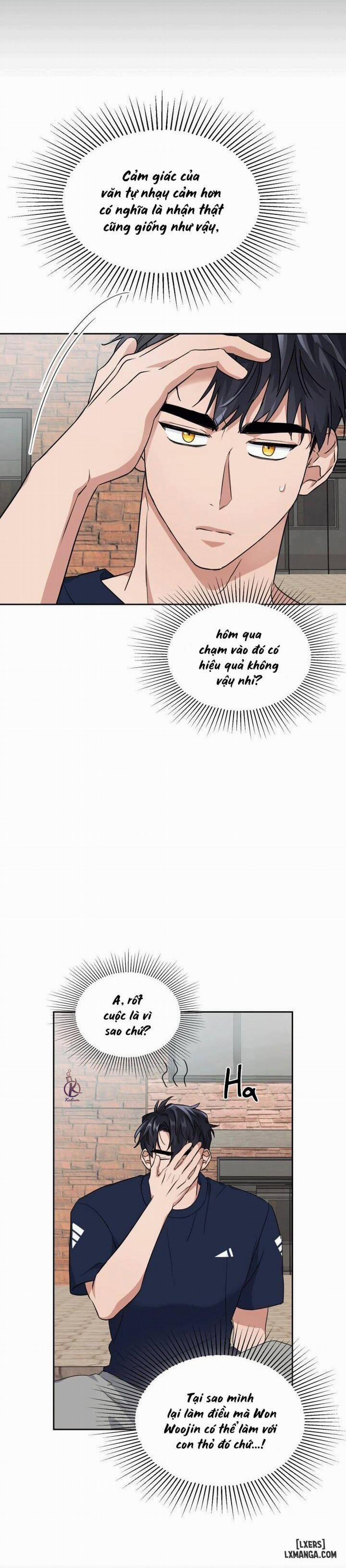 Mồi nhử 20 trang 5