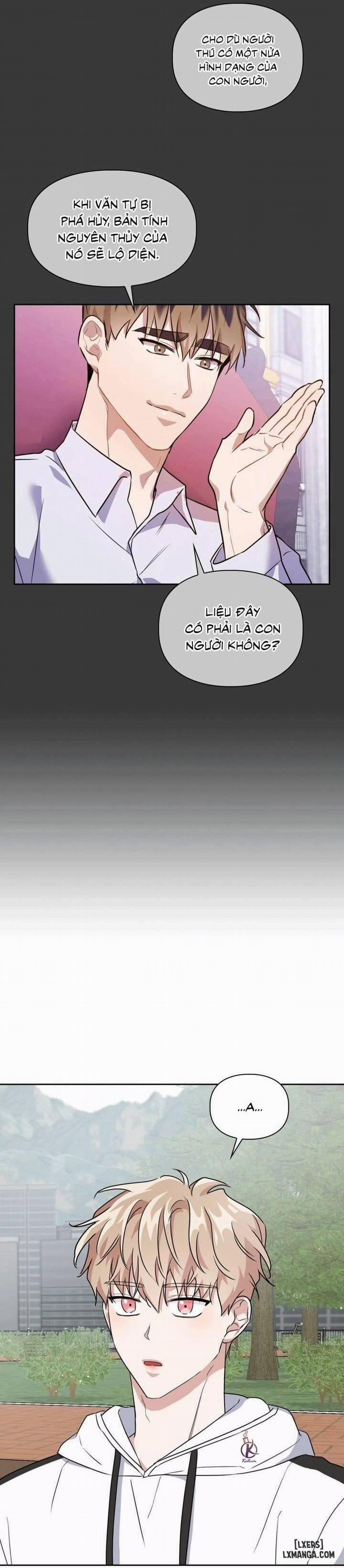 Mồi nhử 21 trang 2