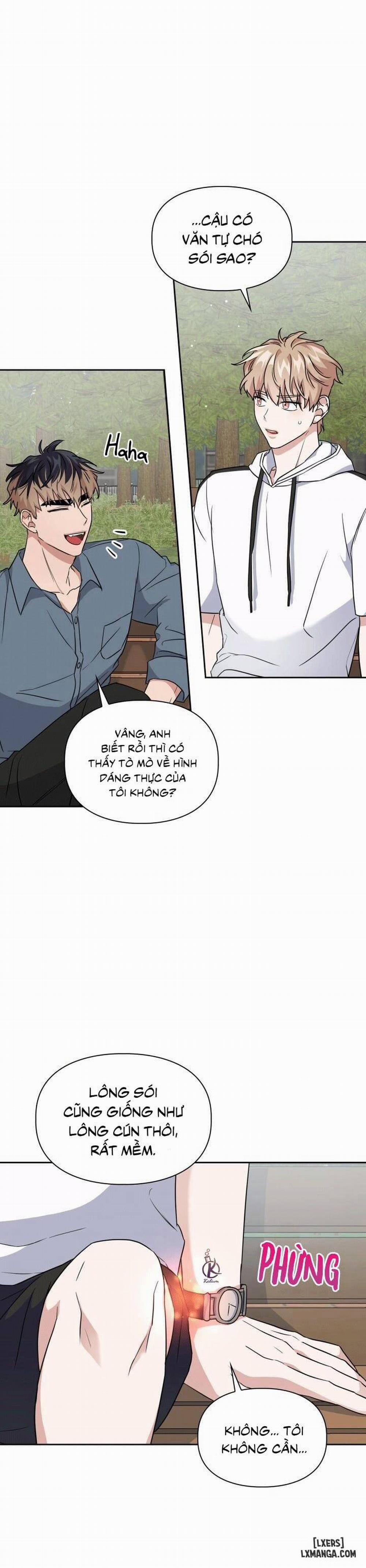 Mồi nhử 21 trang 7