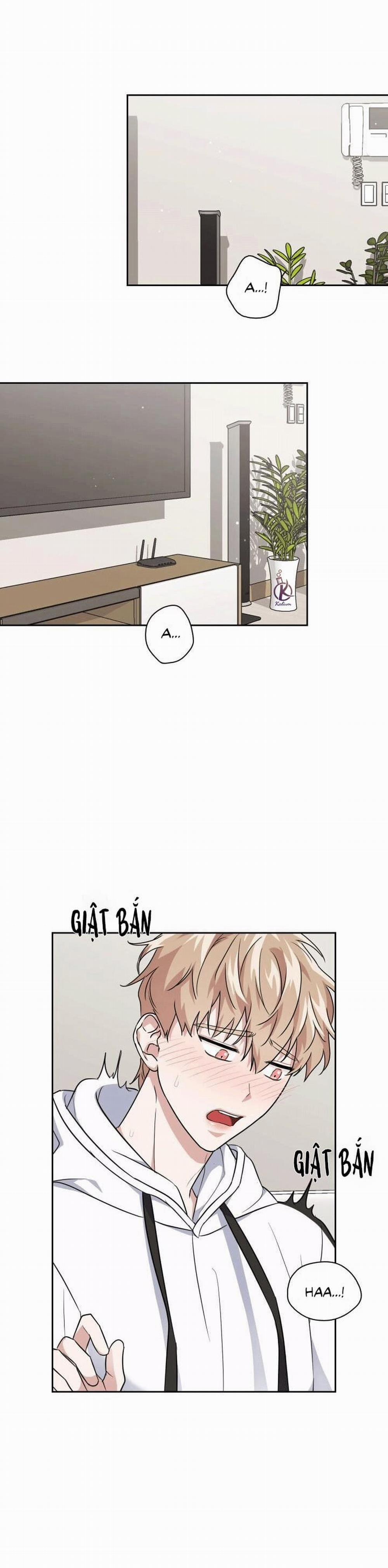 Mồi nhử 22.5 trang 2