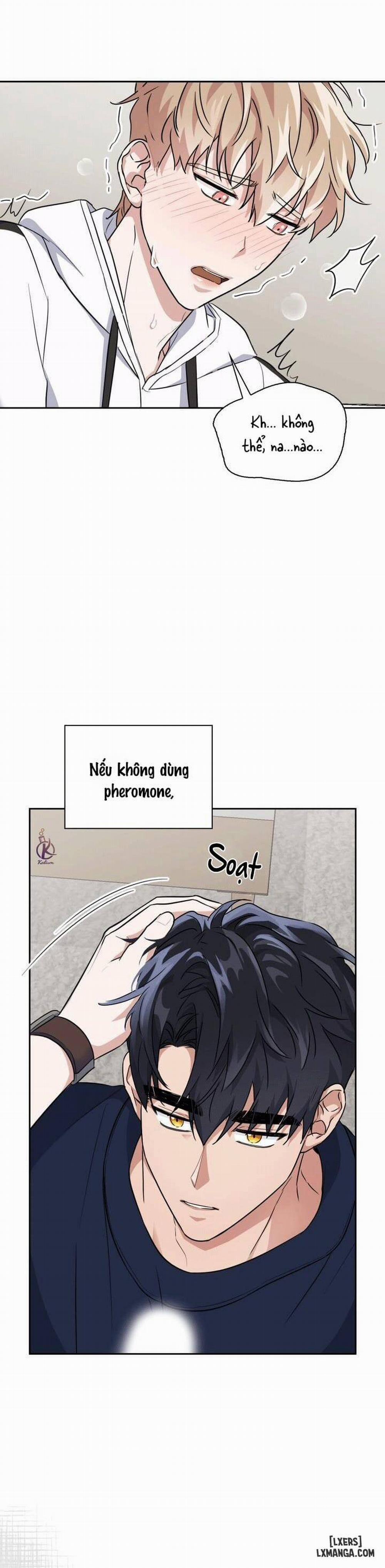 Mồi nhử 22 trang 16