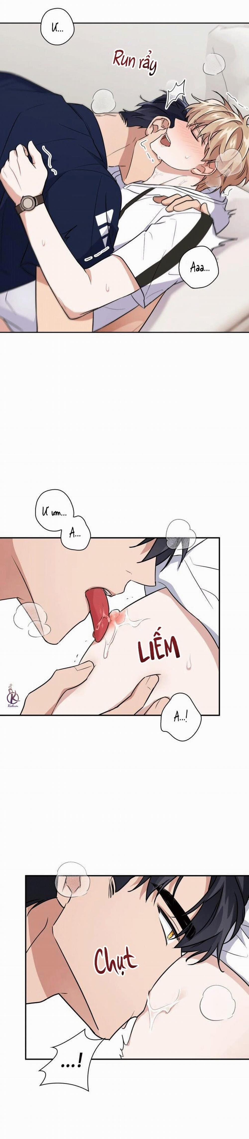 Mồi nhử 23.5 trang 1