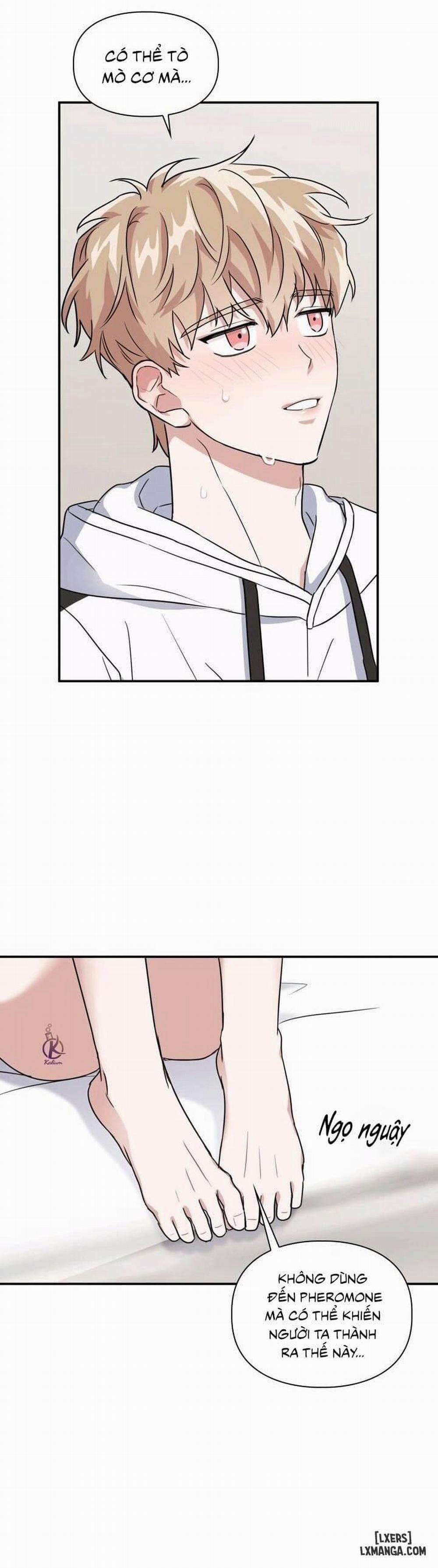 Mồi nhử 23 trang 1