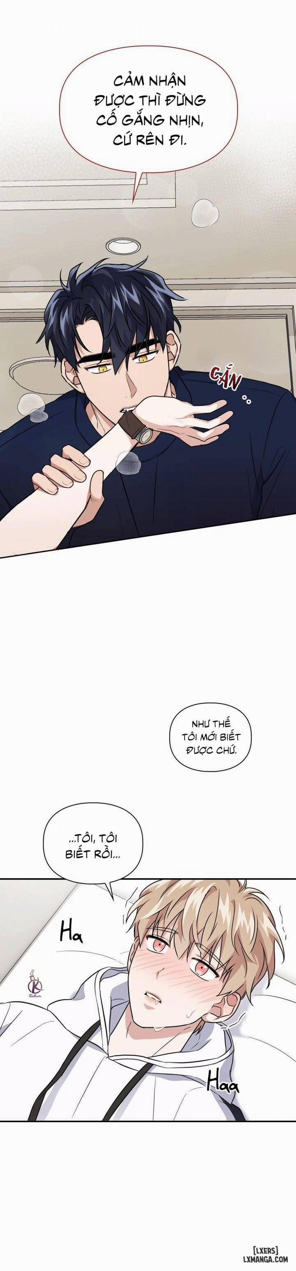 Mồi nhử 23 trang 11