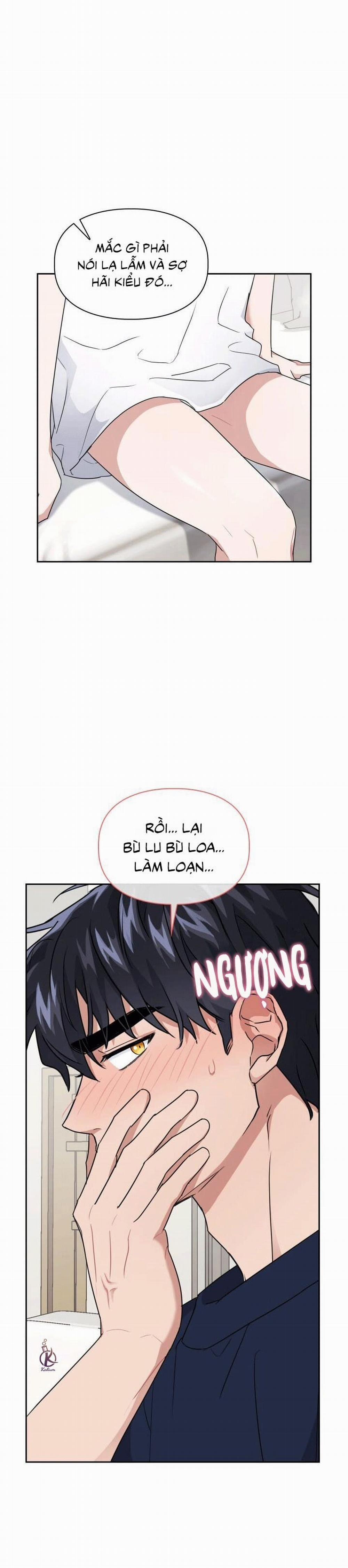 Mồi nhử 24.5 trang 2