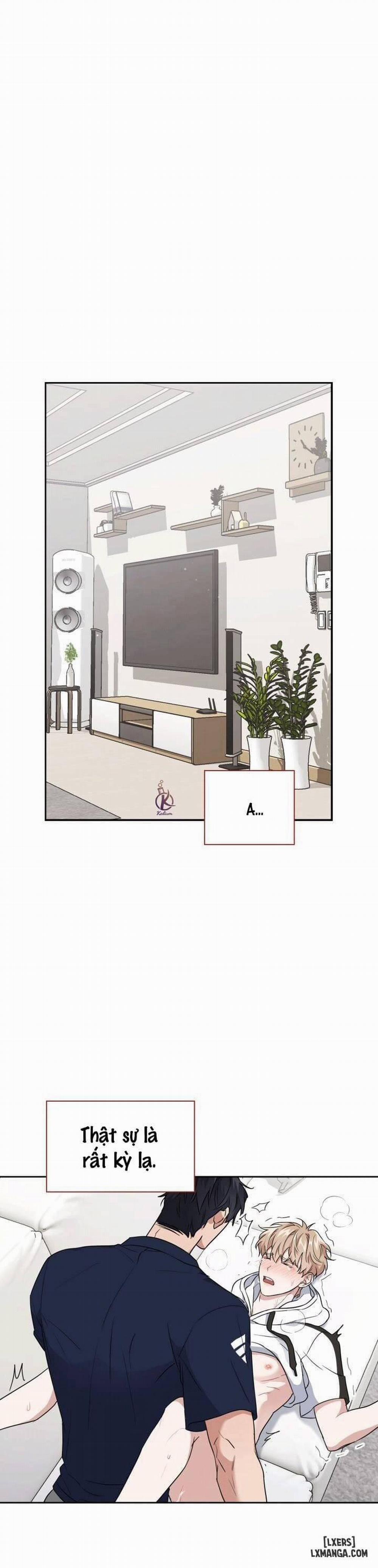 Mồi nhử 24 trang 0