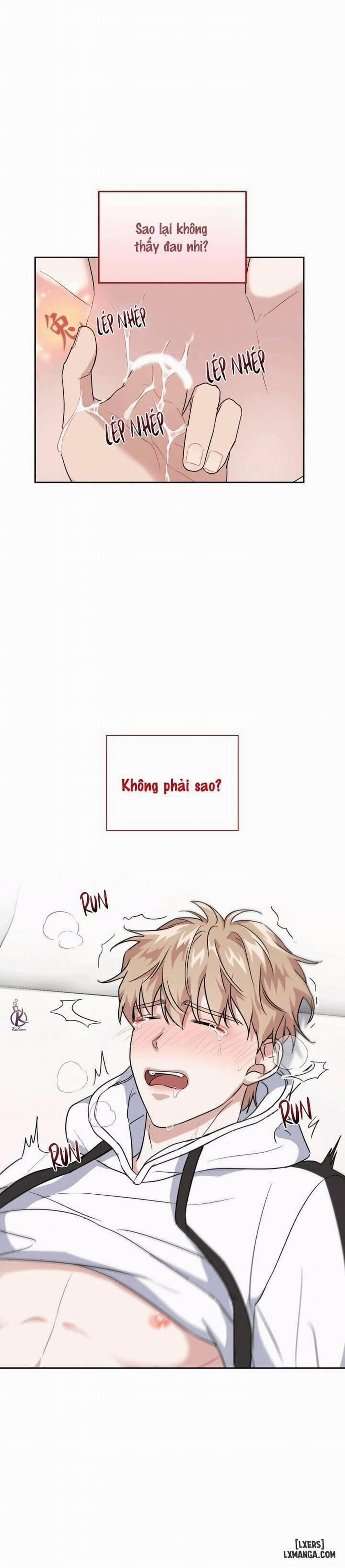 Mồi nhử 24 trang 1