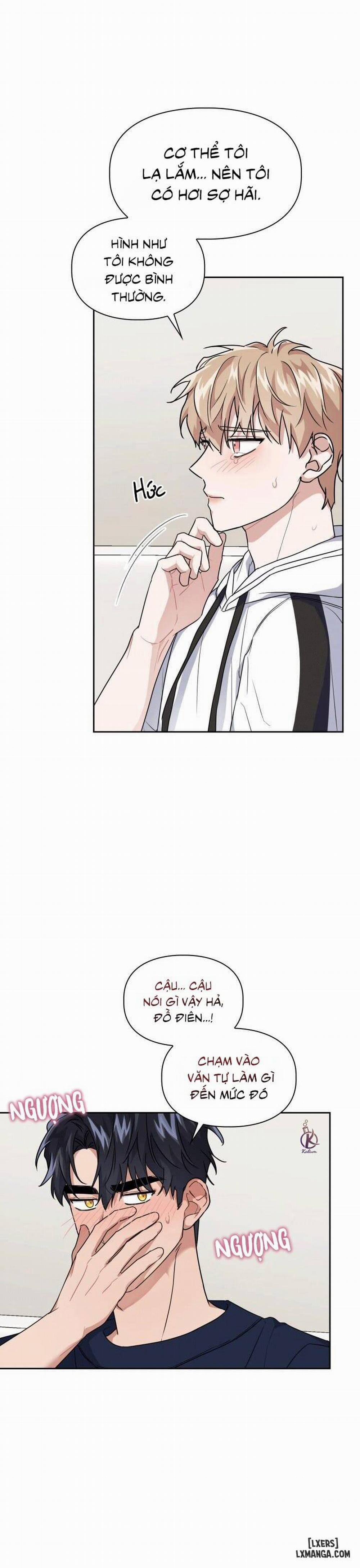 Mồi nhử 24 trang 11