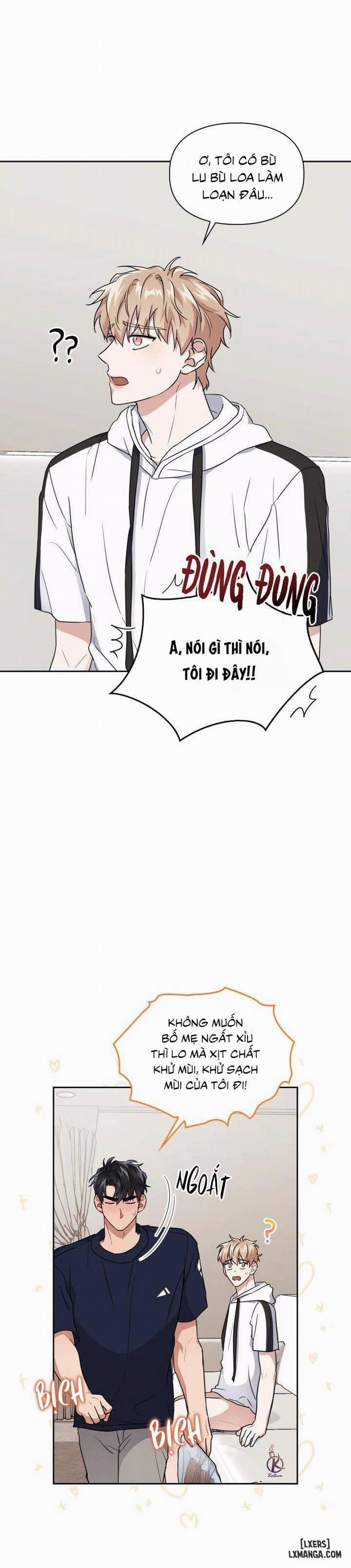 Mồi nhử 24 trang 17