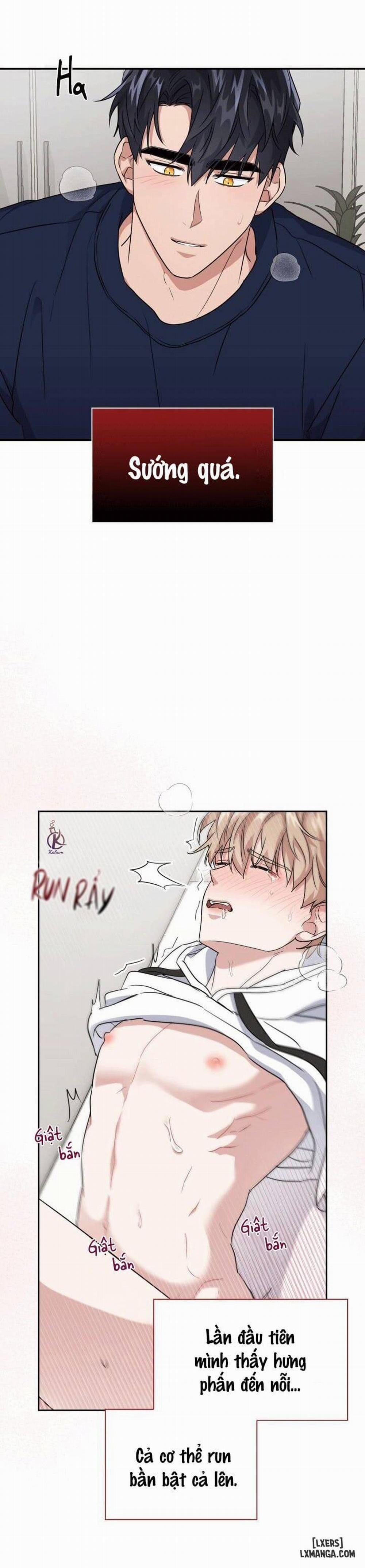 Mồi nhử 24 trang 3