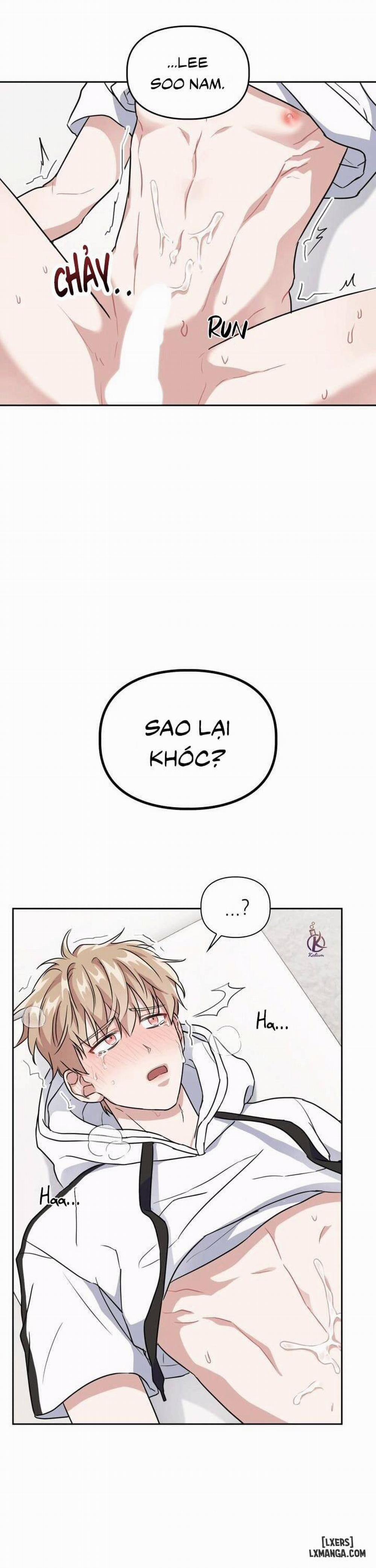 Mồi nhử 24 trang 5