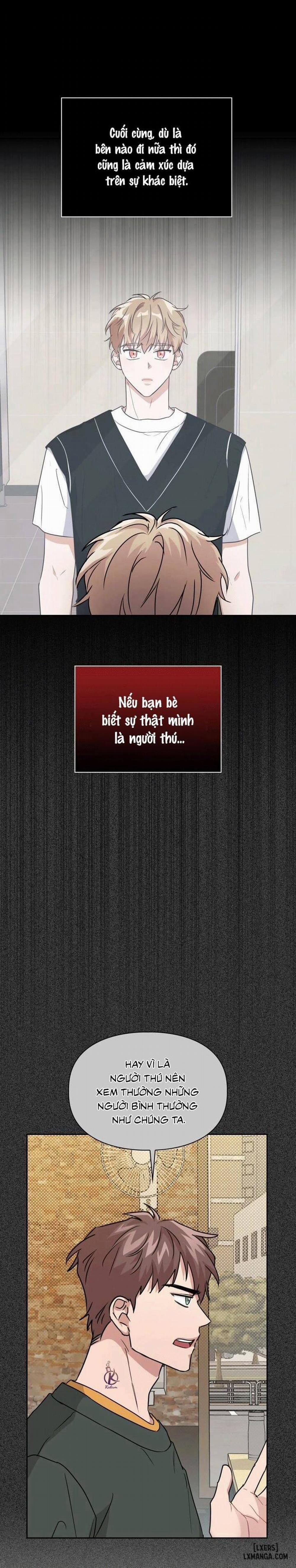 Mồi nhử 26 trang 11