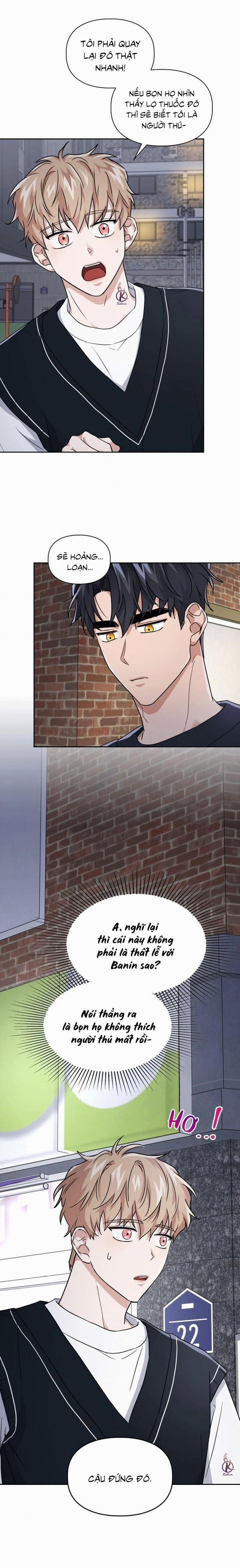 Mồi nhử 27.5 trang 0