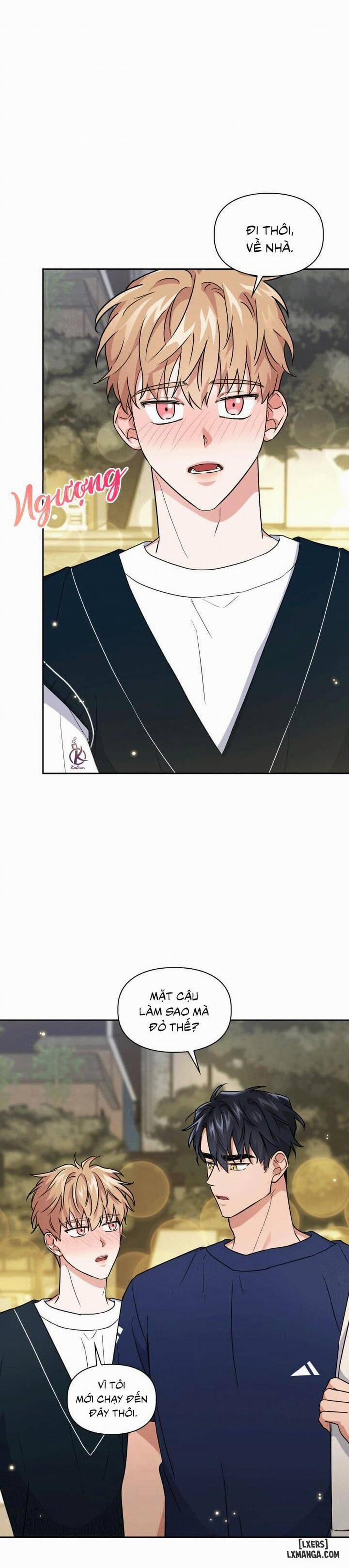 Mồi nhử 28 trang 13