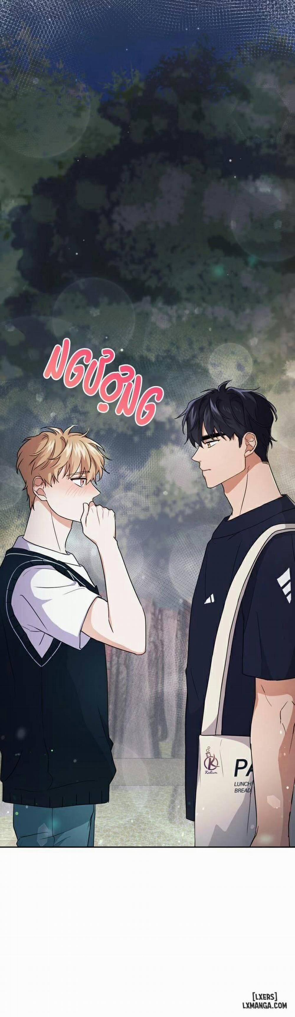 Mồi nhử 29 trang 0