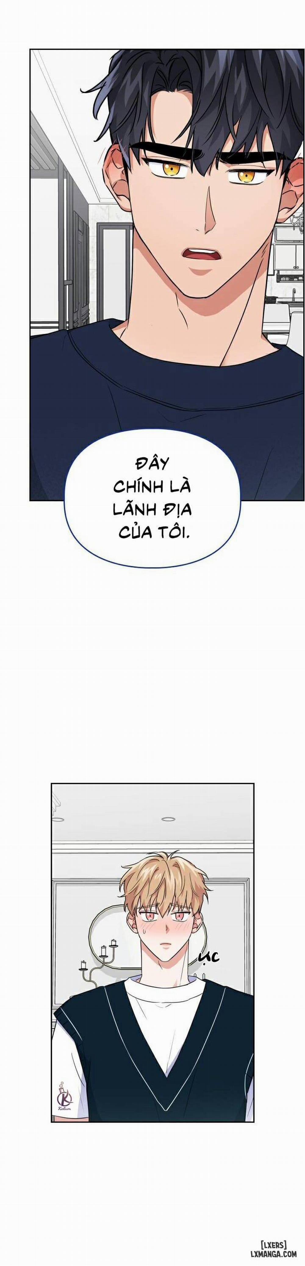 Mồi nhử 29 trang 20