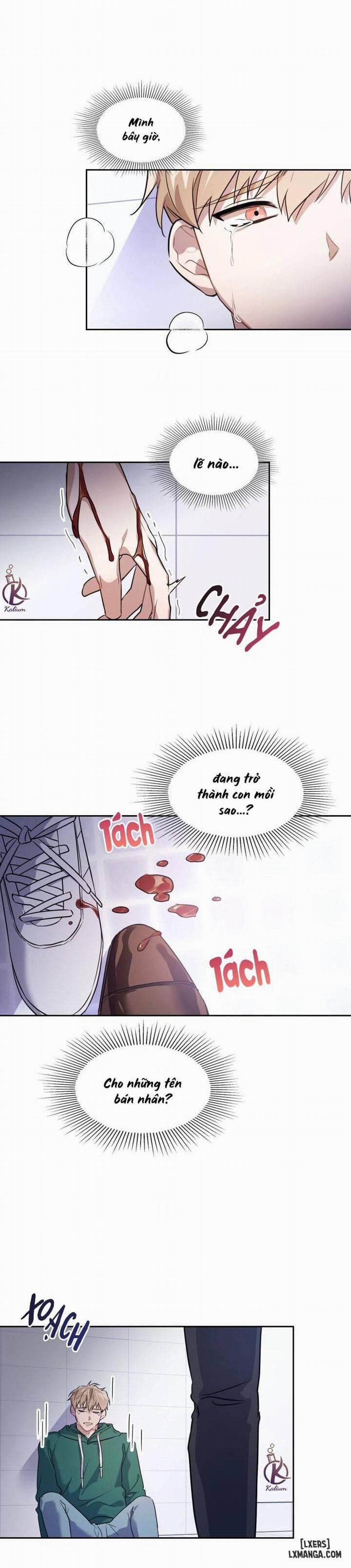 Mồi nhử 3 trang 1