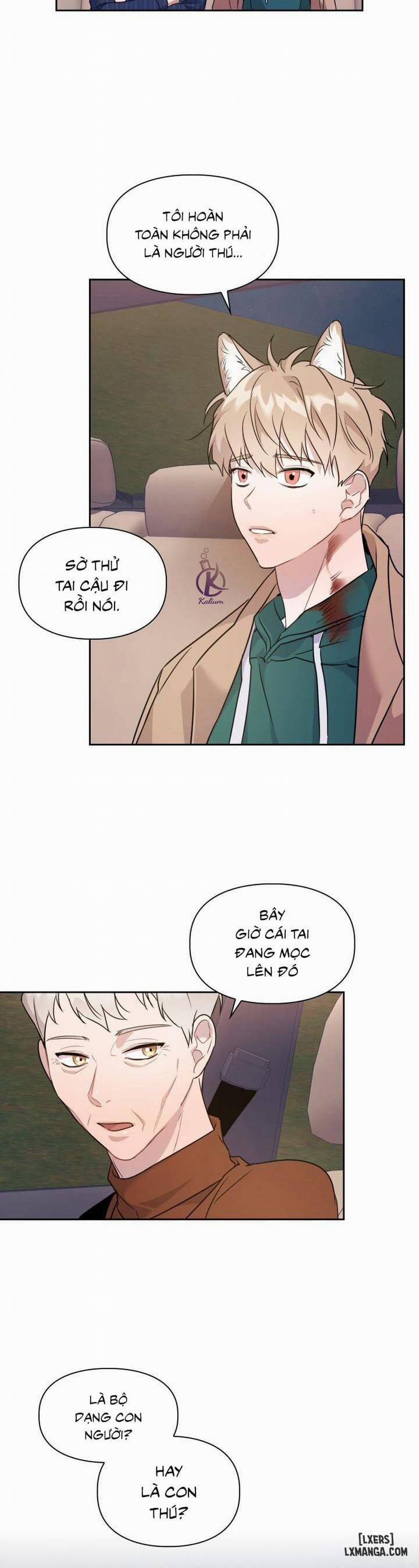 Mồi nhử 3 trang 25