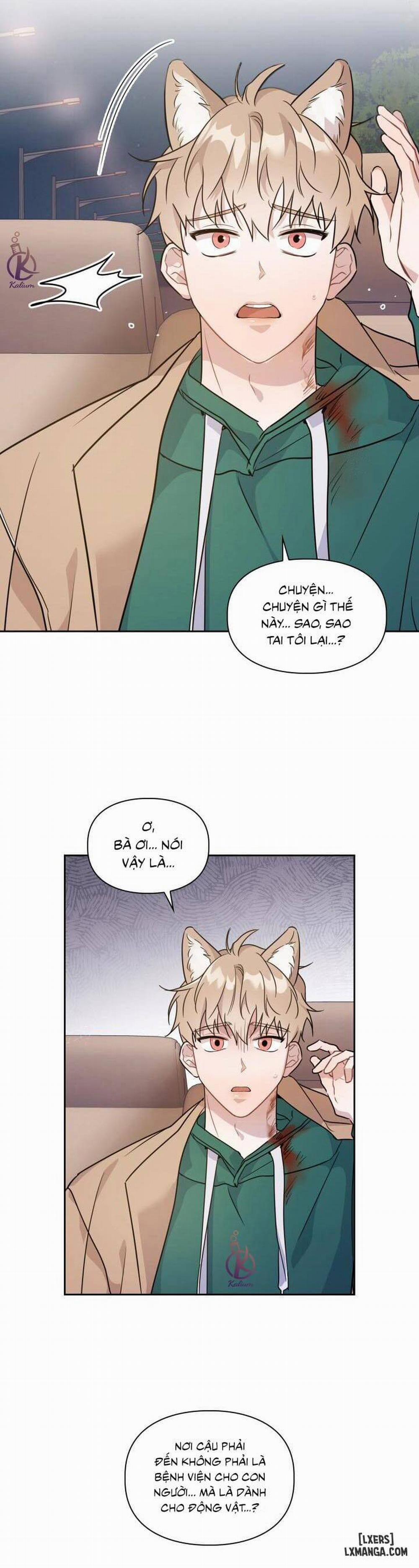 Mồi nhử 3 trang 26