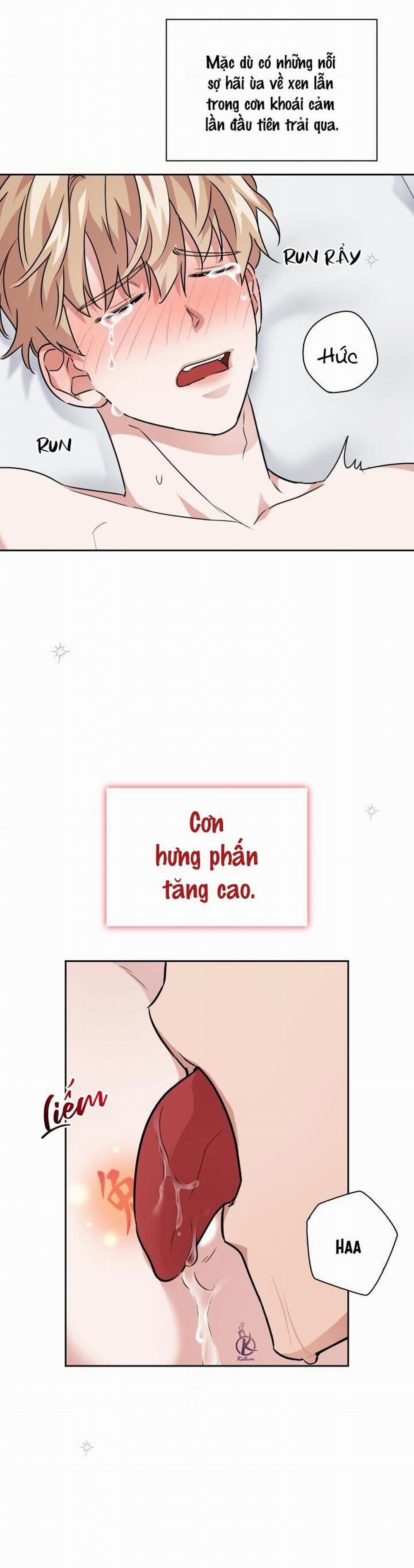 Mồi nhử 30.5 trang 0