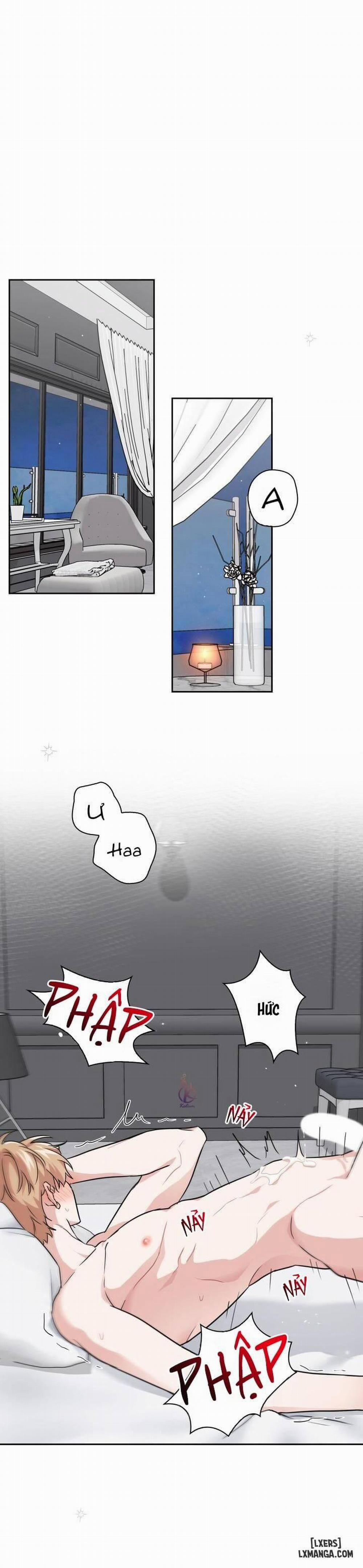 Mồi nhử 31 trang 0