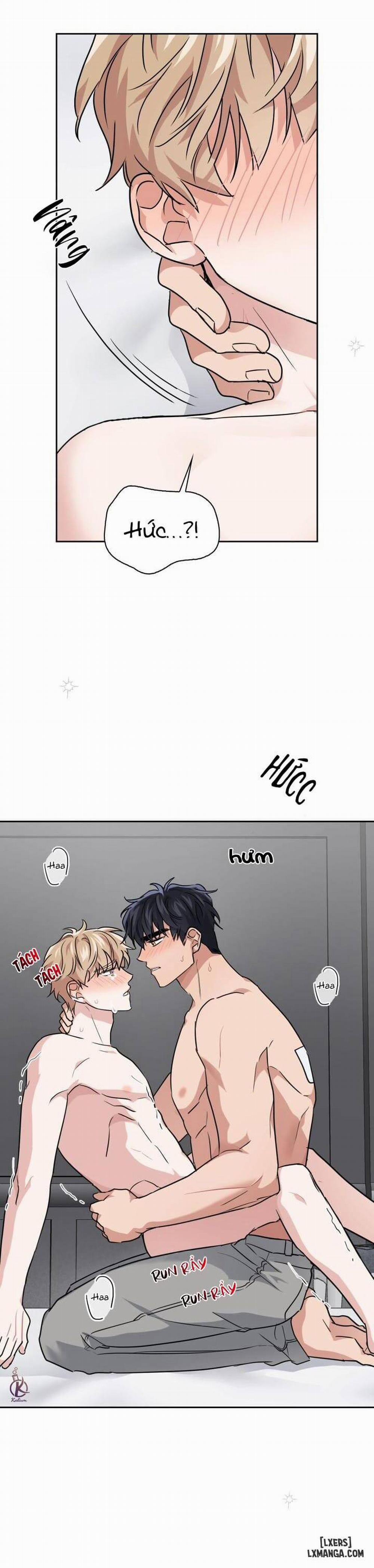 Mồi nhử 31 trang 10