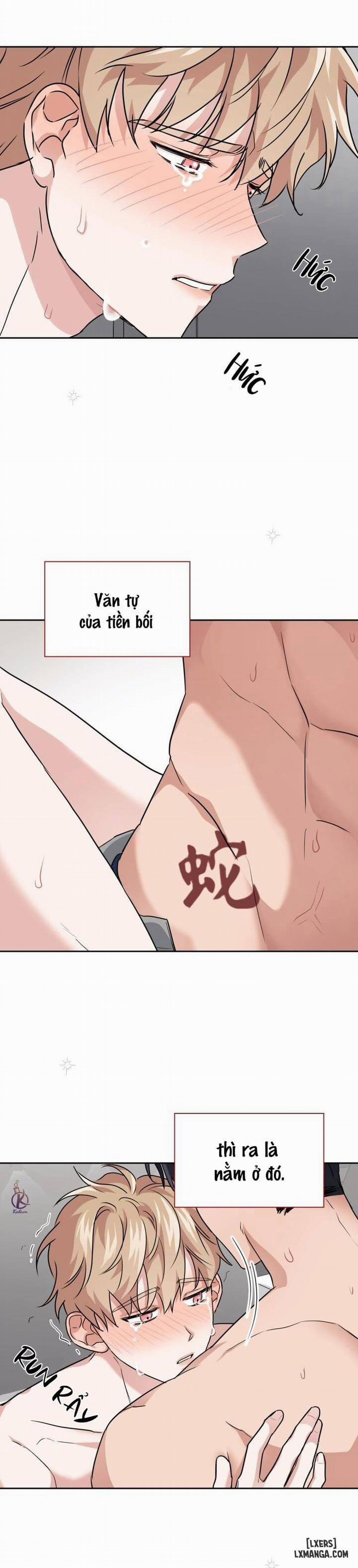 Mồi nhử 31 trang 11