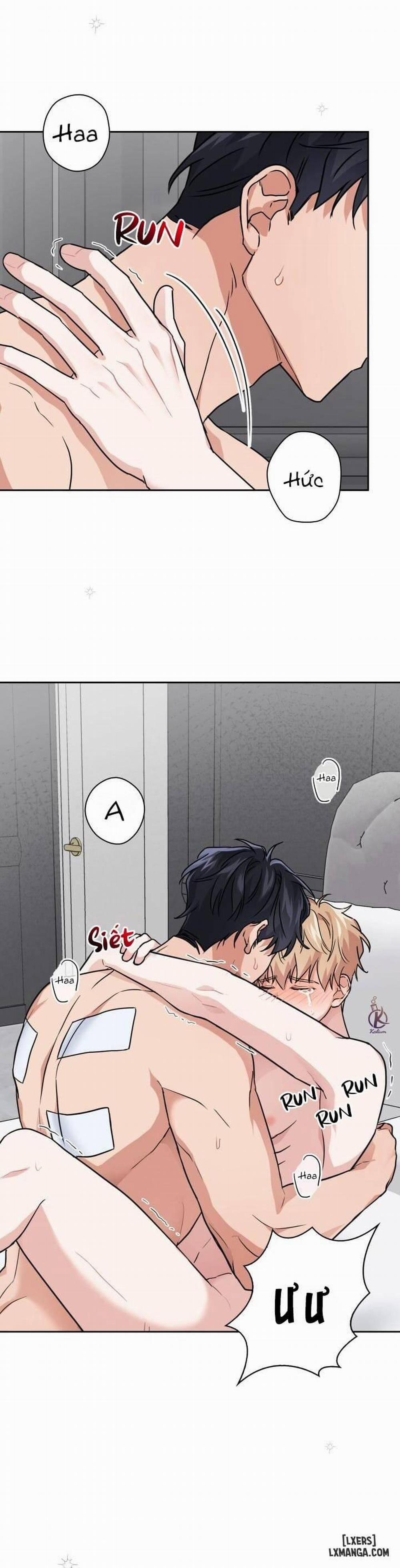 Mồi nhử 31 trang 2