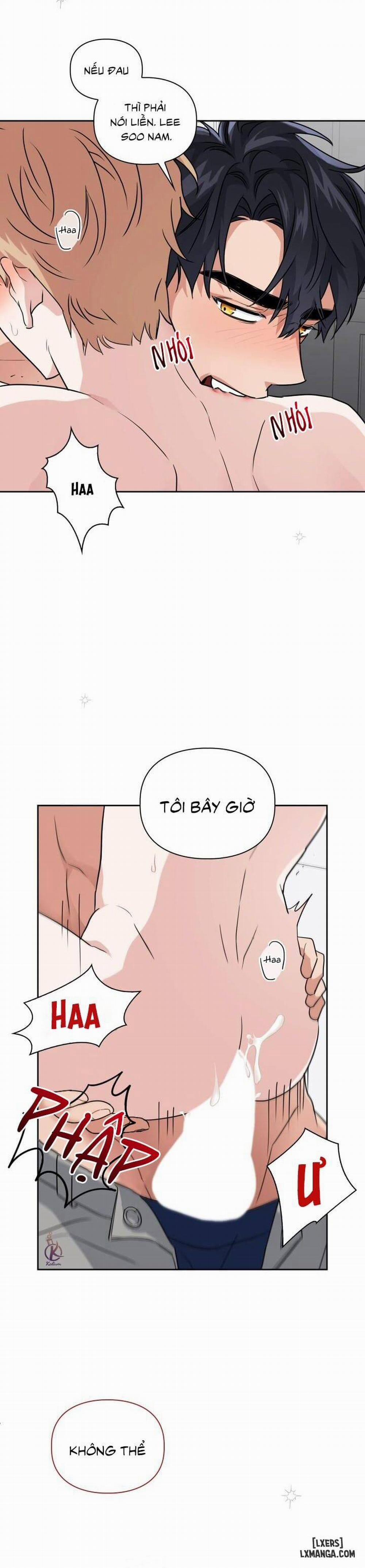 Mồi nhử 31 trang 3