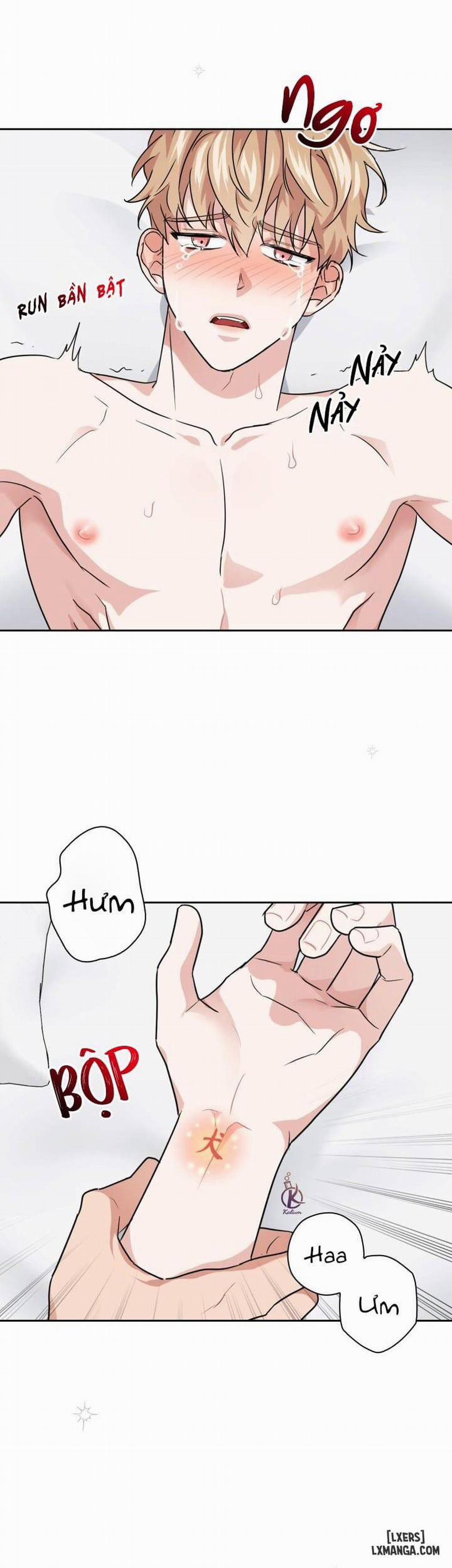 Mồi nhử 31 trang 6