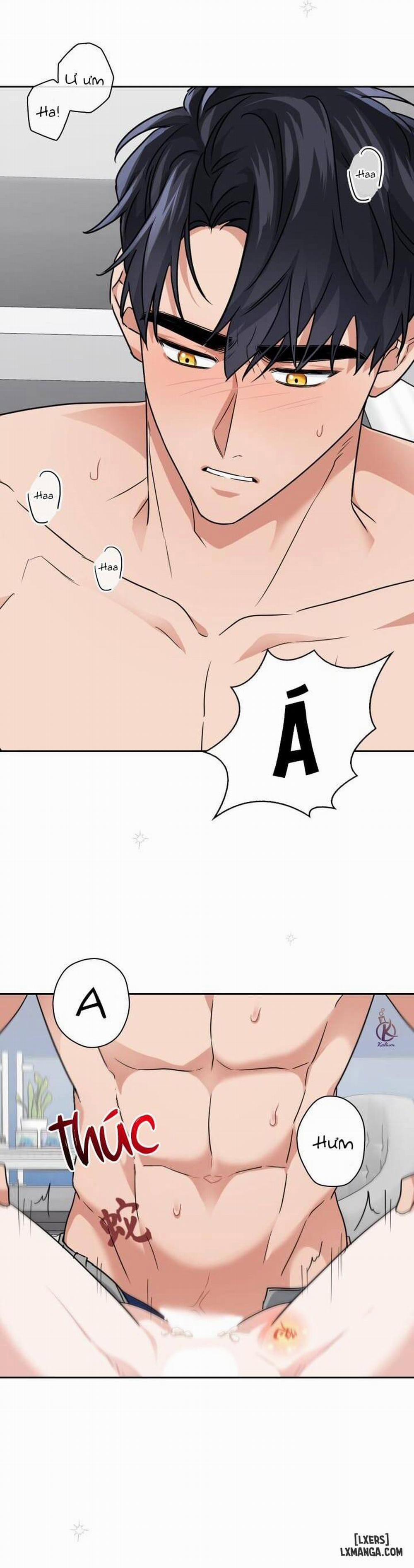 Mồi nhử 31 trang 7