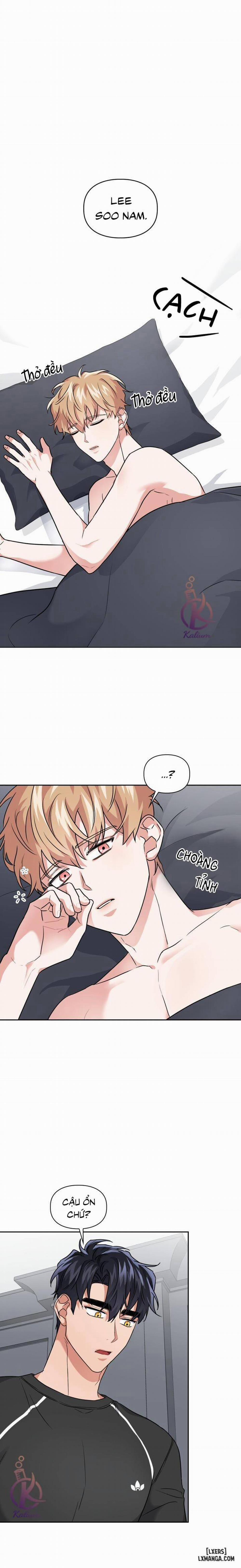 Mồi nhử 33 trang 11