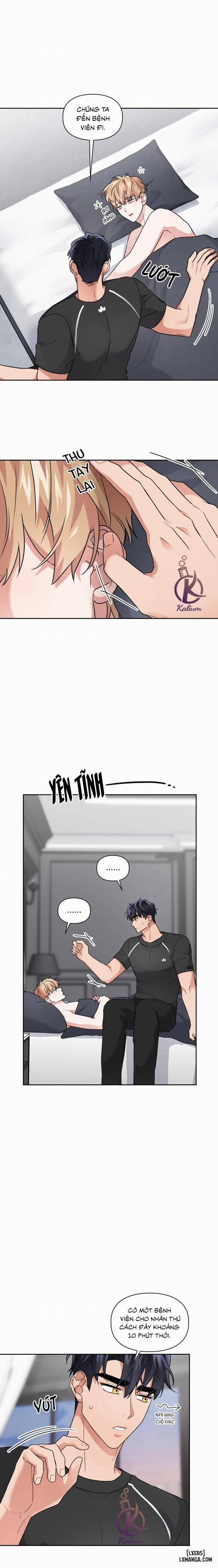 Mồi nhử 33 trang 12