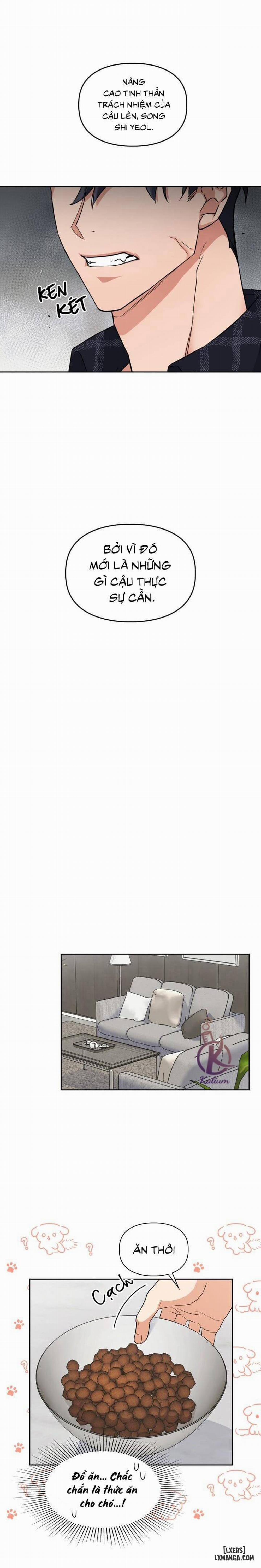 Mồi nhử 35 trang 13