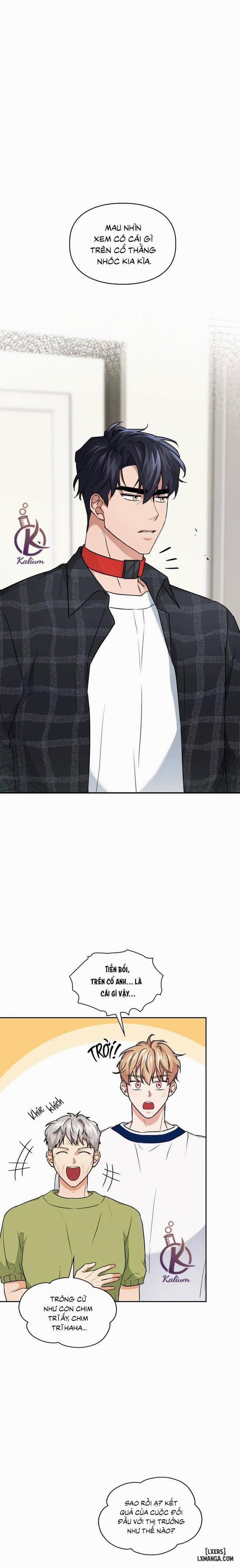 Mồi nhử 36 trang 0