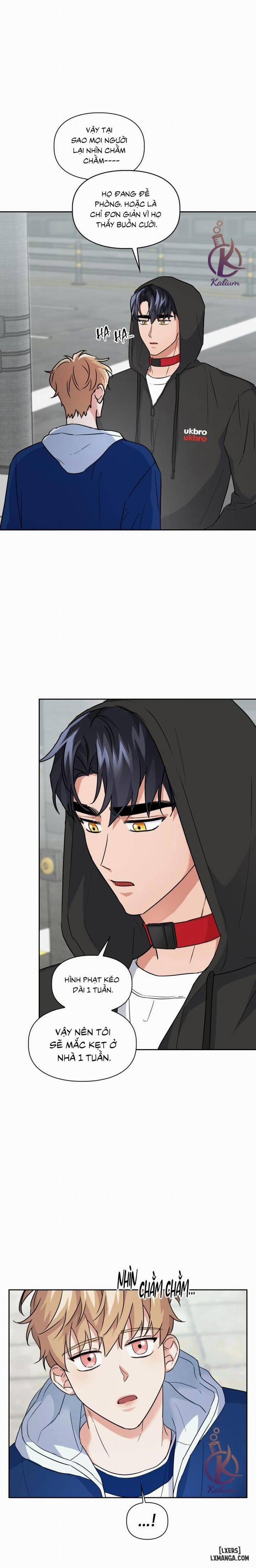 Mồi nhử 36 trang 10