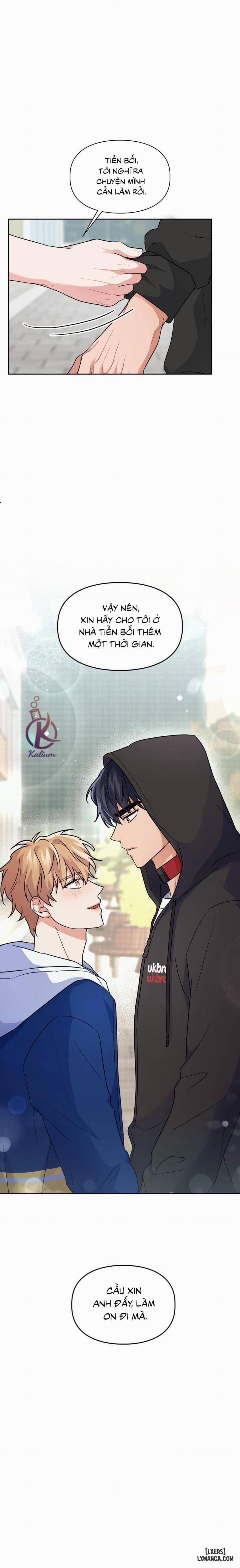 Mồi nhử 36 trang 11