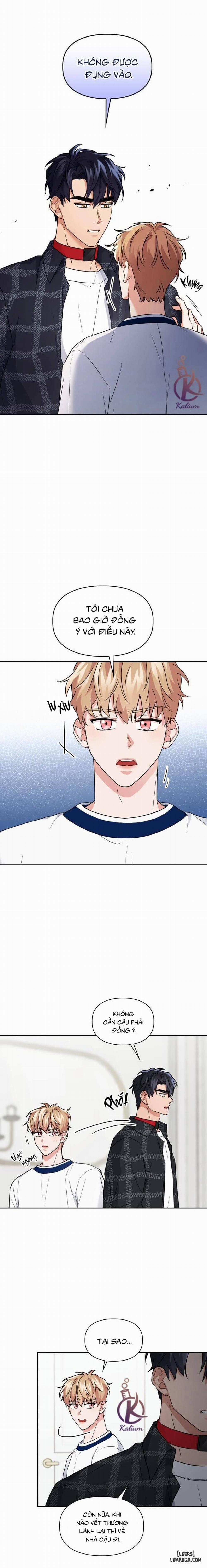 Mồi nhử 36 trang 3