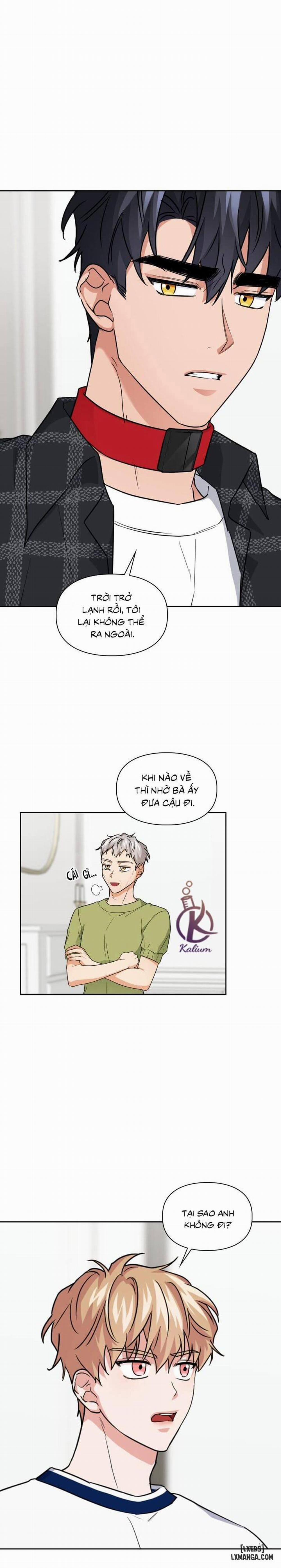 Mồi nhử 36 trang 4